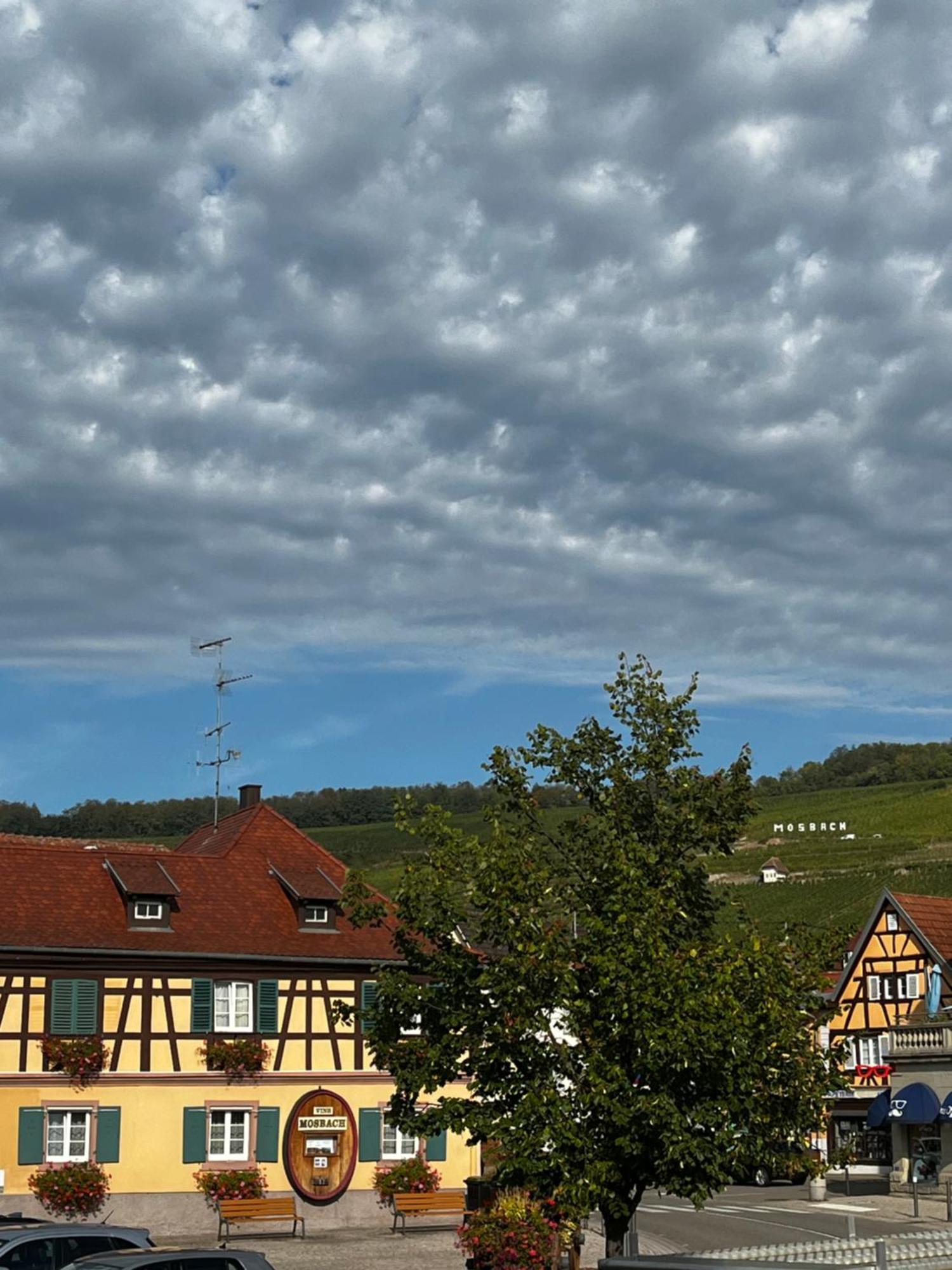 Les Chambres Du Marlenberg Marlenheim Exteriör bild